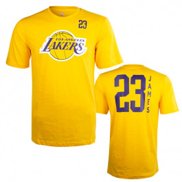  Outerstuff Lebron James Los Angeles Lakers Gray #23