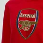 Arsenal Crest Kinder Kapuzenpullover Hoody