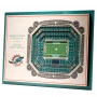 Miami Dolphins 3D Stadium View Art