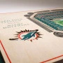 Miami Dolphins 3D Stadium View Art