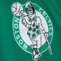 Boston Celtics Mitchell & Ness Fusion Hoodie