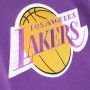 Los Angeles Lakers Mitchell & Ness Fusion Kapuzenpullover Hoody