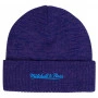 Charlotte Hornets Mitchell & Ness HWC Fandom Beanie