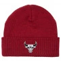 Chicago Bulls Mitchell & Ness HWC Fandom Wintermütze