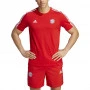 FC Bayern München Adidas DNA T-Shirt