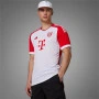 FC Bayern München Adidas 23/24 Home dres