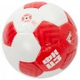 FK Crvena Zvezda Red Star Premium pallone 5