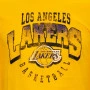 Lebron James 6 Los Angeles Lakers LS Graphic Team majica 