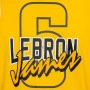 Lebron James 6 Los Angeles Lakers Crew Neck Shooter Tank Jersey