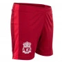 Liverpool N°10 Poly Kids Training Set Jersey (Optional printing +13,11€)