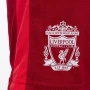 Liverpool N°10 Poly Kids Training Set Jersey (Optional printing +13,11€)