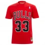 Scottie Pippen 33 Chicago Bulls Mitchell and Ness HWC majica