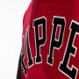 Scottie Pippen 33 Chicago Bulls 1996 Mitchell and Ness Fashion Fleece Kapuzenpullover Hoody