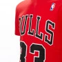 Scottie Pippen 33 Chicago Bulls Mitchell and Ness HWC majica