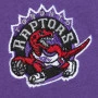 Vince Carter Toronto Raptors Mitchell and Ness Heavyweight Premium Vintage Logo T-Shirt