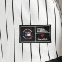 Chicago White Sox Core Foundation dres