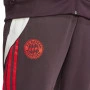 FC Bayern München Adidas tuta