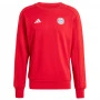 FC Bayern München Adidas DNA duks