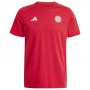 FC Bayern München DNA T-Shirt