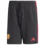 Manchester United Adidas DNA kurze Hose