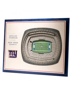 New York Giants 3D Stadium View Wall Art