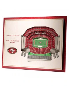 San Francisco 49ers 3D Stadium View Art