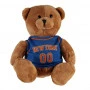 New York Knicks Jersey Bear