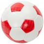 FK Crvena Zvezda Red Star Premium pallone 5
