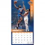 New York Knicks Calendar 2024