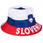 Slowenian Fan Hut