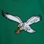 Philadelphia Eagles Mitchell and Ness Team Origins Hoodie