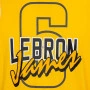 Lebron James 6 Los Angeles Lakers Crew Neck Shooter Tank dres