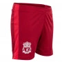 Liverpool N°10 Poly set da allenamento maglia per bambini (stampa a scelta +16€)