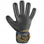 Reusch Attrakt Gold X NC Goalkeeper Gloves