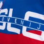 Slowenien Fan T-shirt Flagge