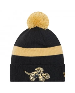 Toronto Raptors New Era 2021 City Edition Official Beanie