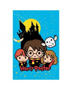 Harry Potter Decke 