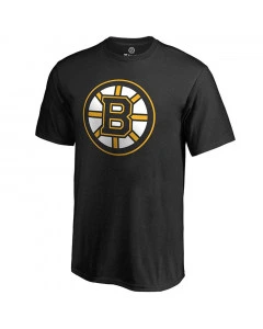 Boston Bruins Primary Logo Graphic T-Shirt