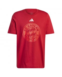 FC Bayern München Adidas DNA Graphic T-Shirt