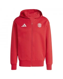 FC Bayern München Adidas Anthem Kapuzenjacke